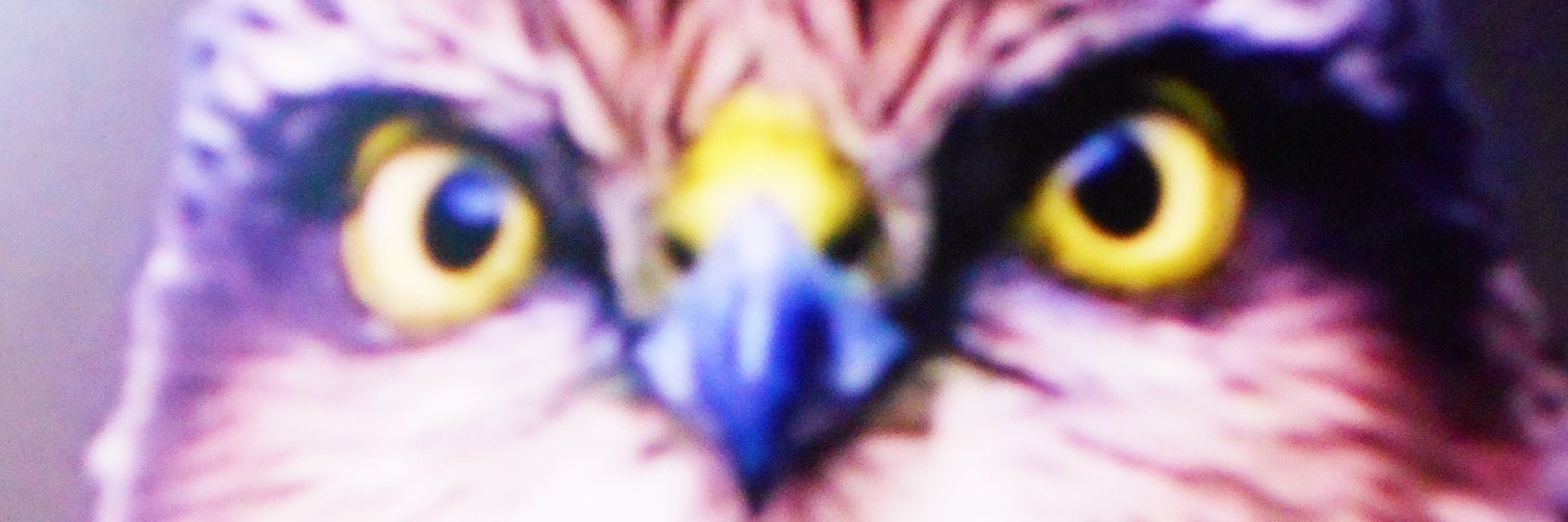 tasuke3rd's profile banner image