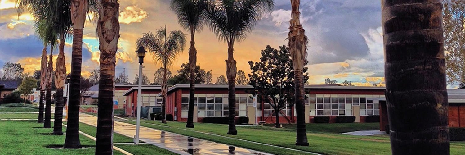 CSD Riverside banner