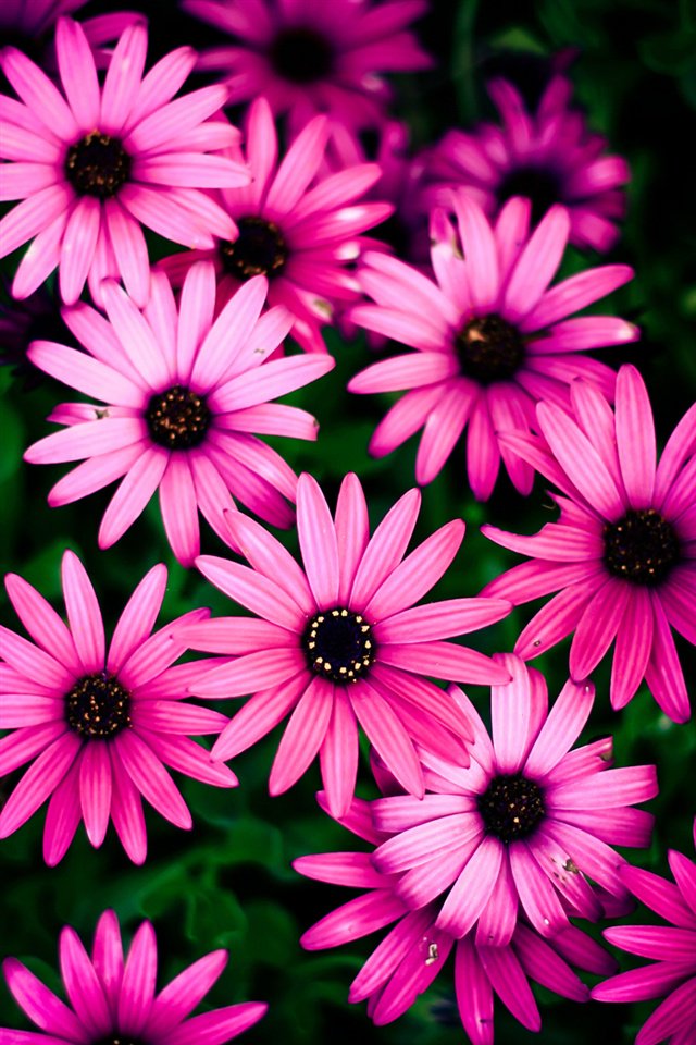 mady109095's profile banner image