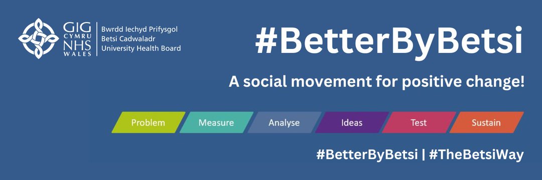 Trawsnewid BETSI Transformation banner