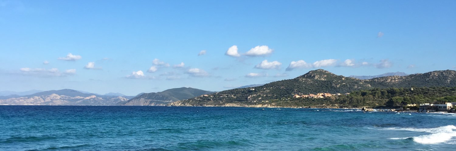 Livio Mancini banner