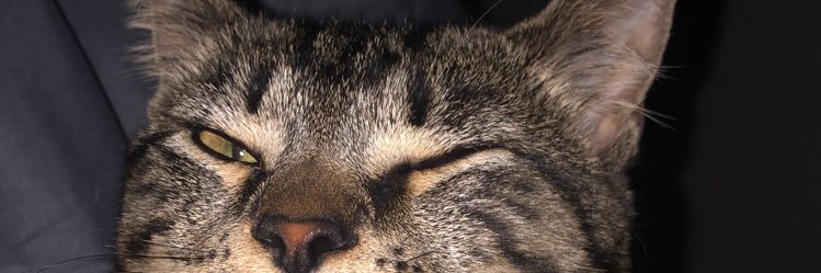 natttrobertsss's profile banner image