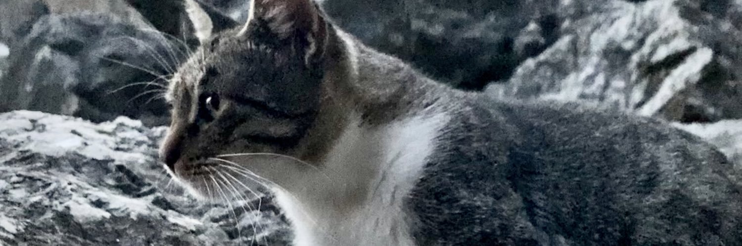 Kajva3's profile banner image