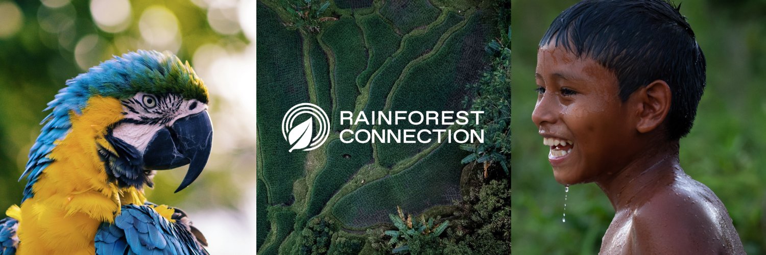 Rainforest Connection Profile Banner
