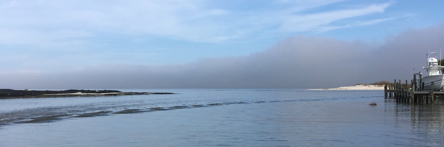 Renee Collini banner