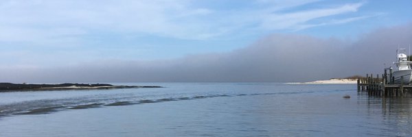 R_Collini Profile Banner