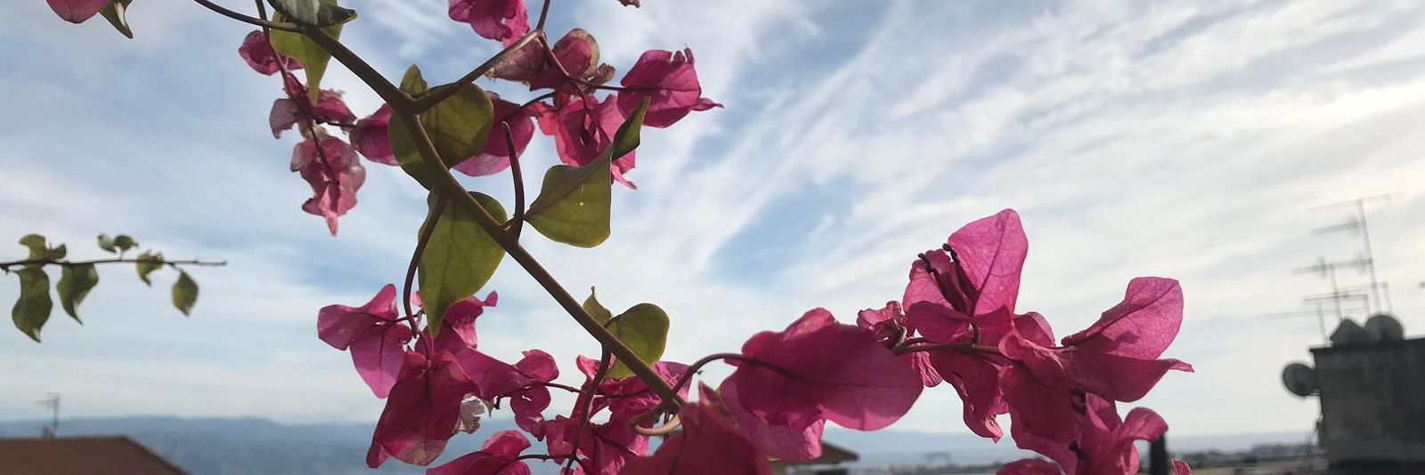 mareblea58's profile banner image