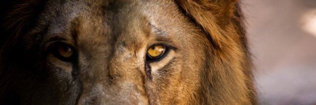 daviddubovy's profile banner image