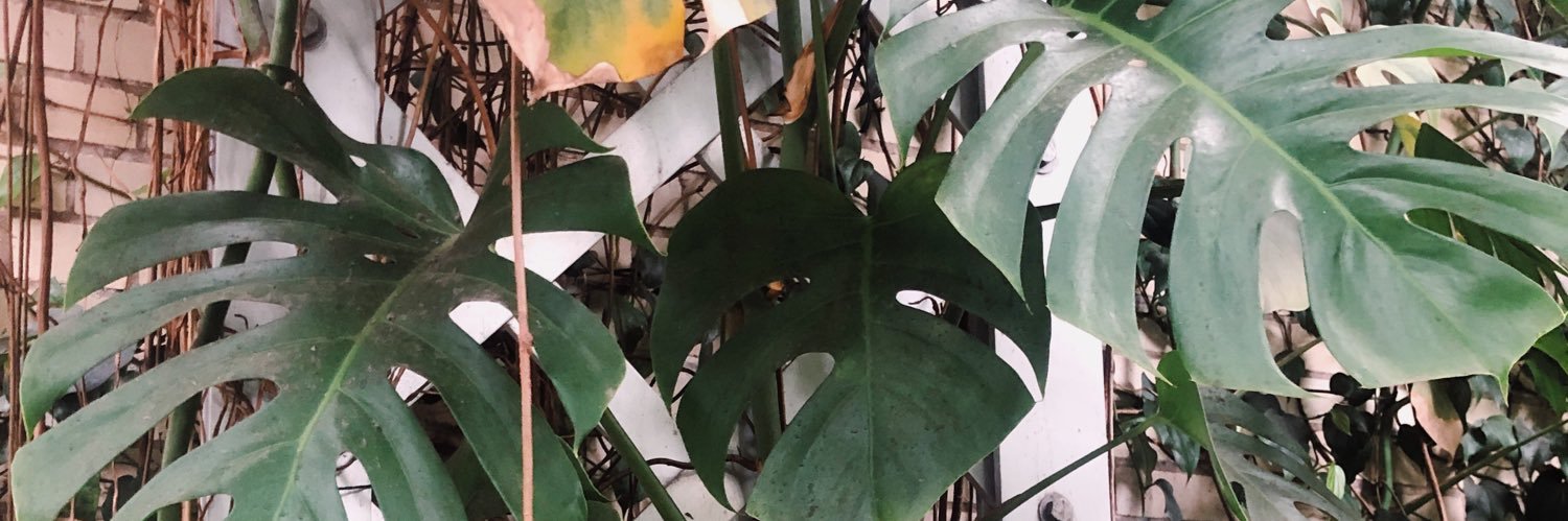 kat__e's profile banner image