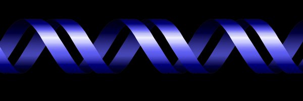 peterwlaird Profile Banner