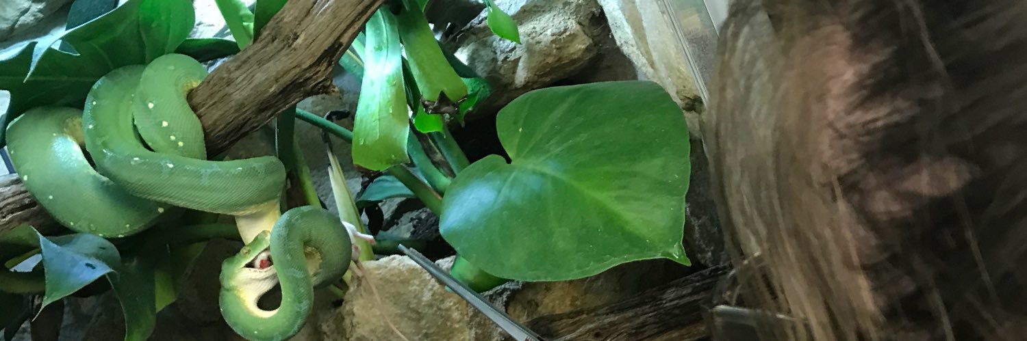 burt_imogen's profile banner image