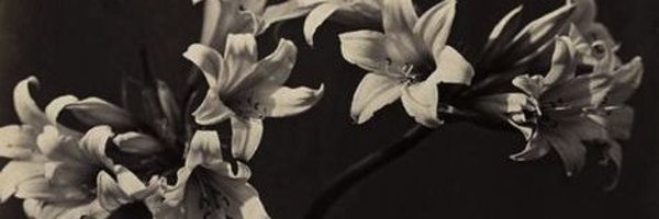 dadoxCS Profile Banner