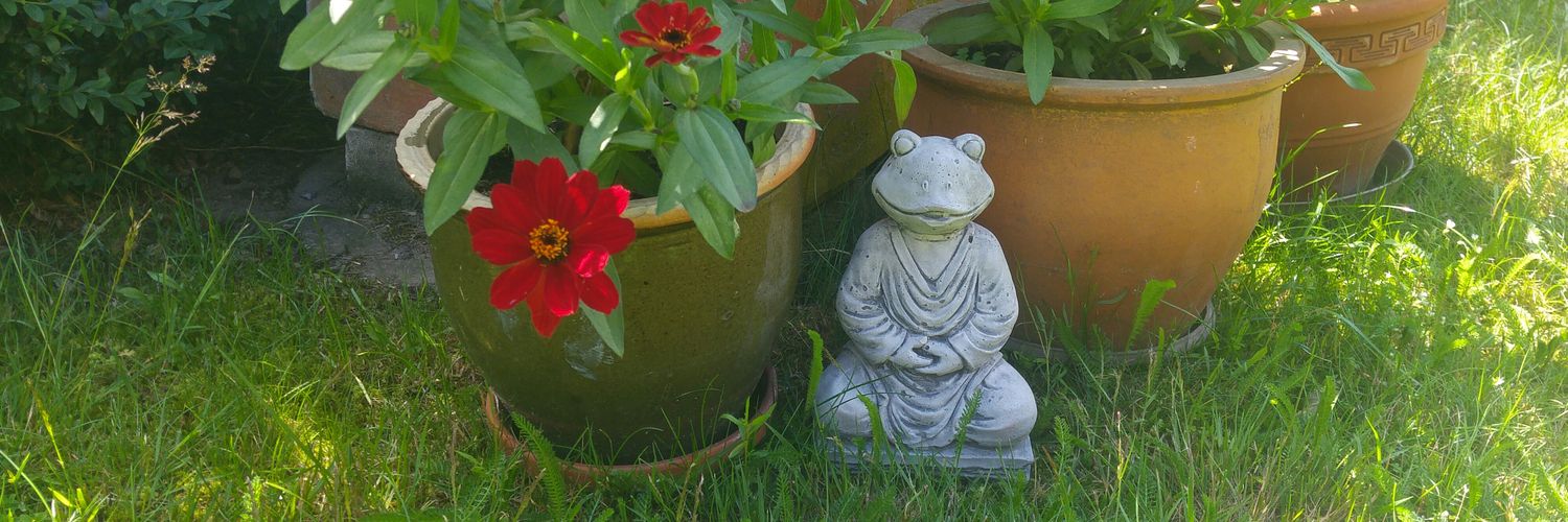 connilotta's profile banner image