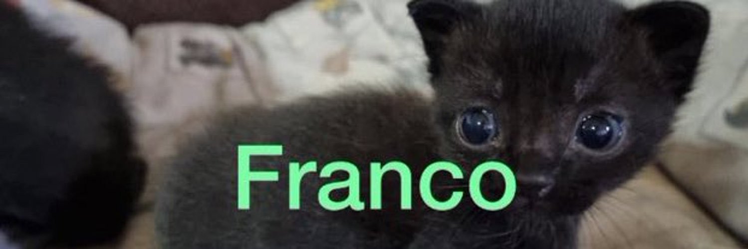 AlexBlunt🌱 banner