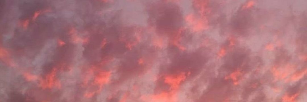Judelauz's profile banner image