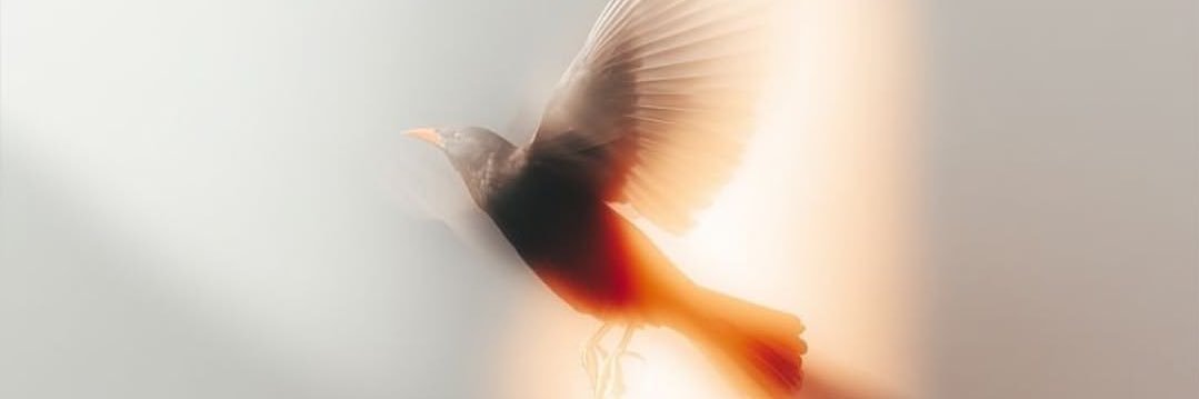 Sarawithlovee's profile banner image