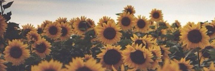An_GarciaG's profile banner image