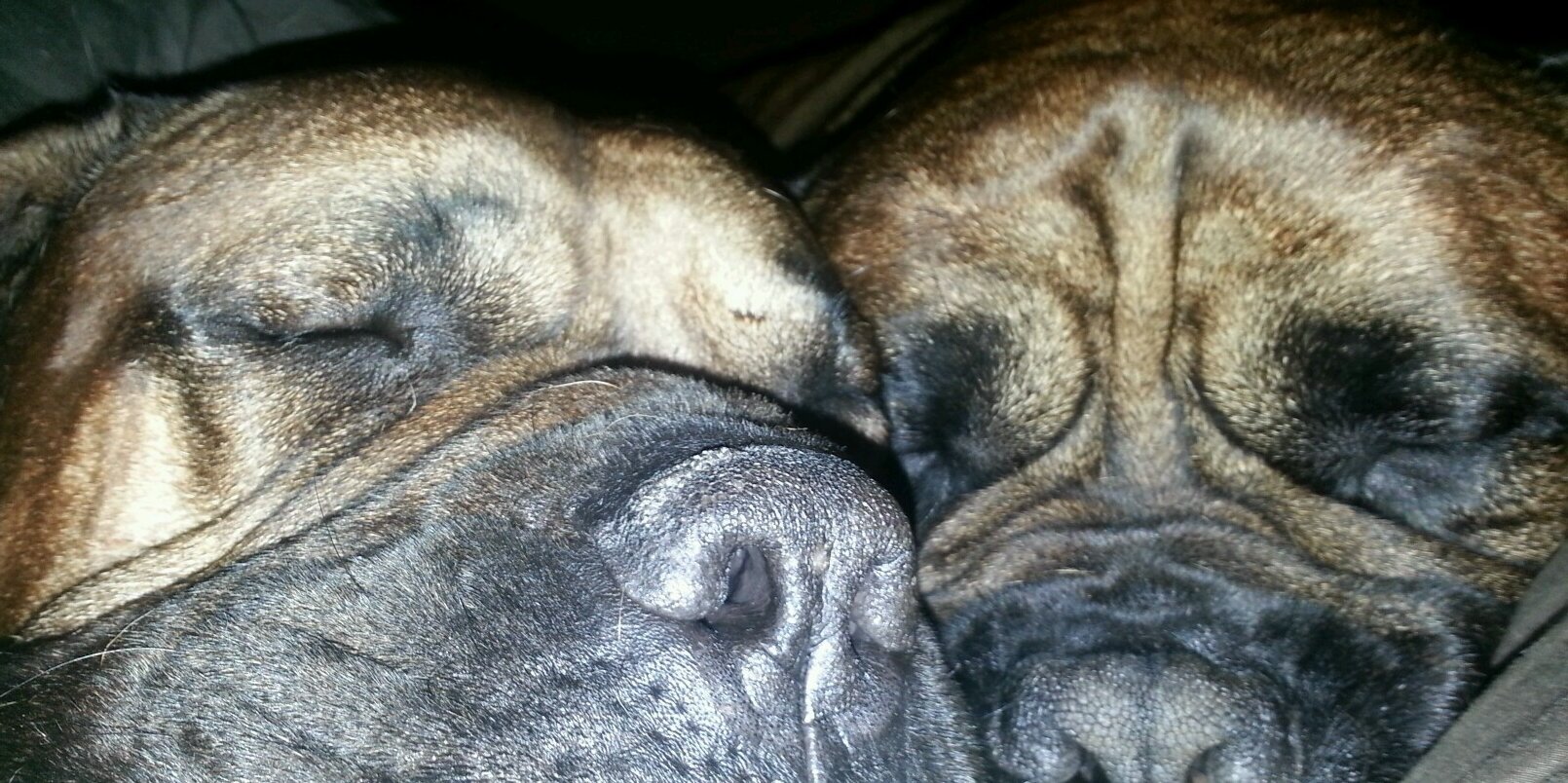 ryba1127's profile banner image