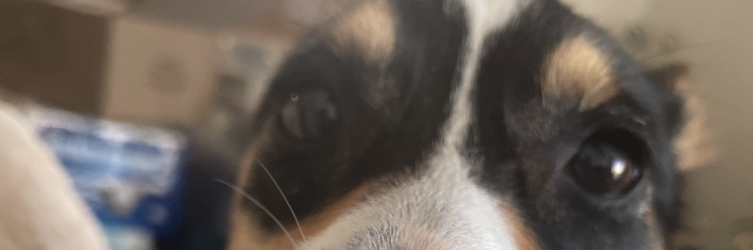 trevwarren10's profile banner image