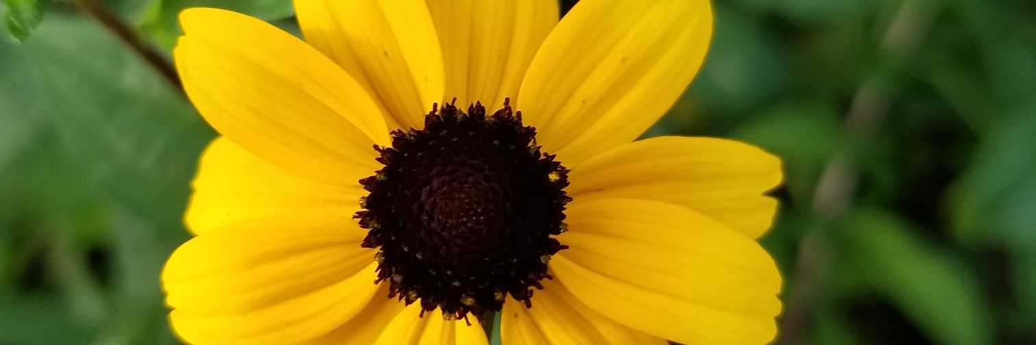KimberlyWeis's profile banner image