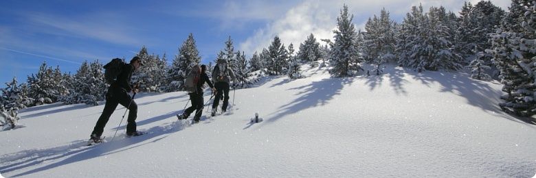 Unió Excursionista El Prat banner