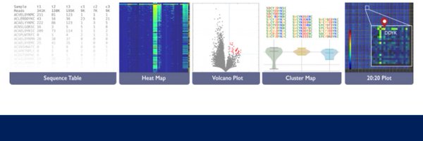 48HourDiscovery Profile Banner