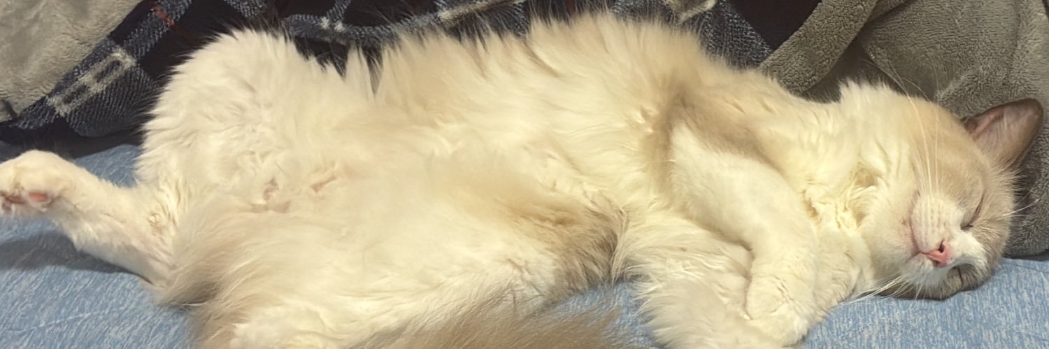 imisolet's profile banner image