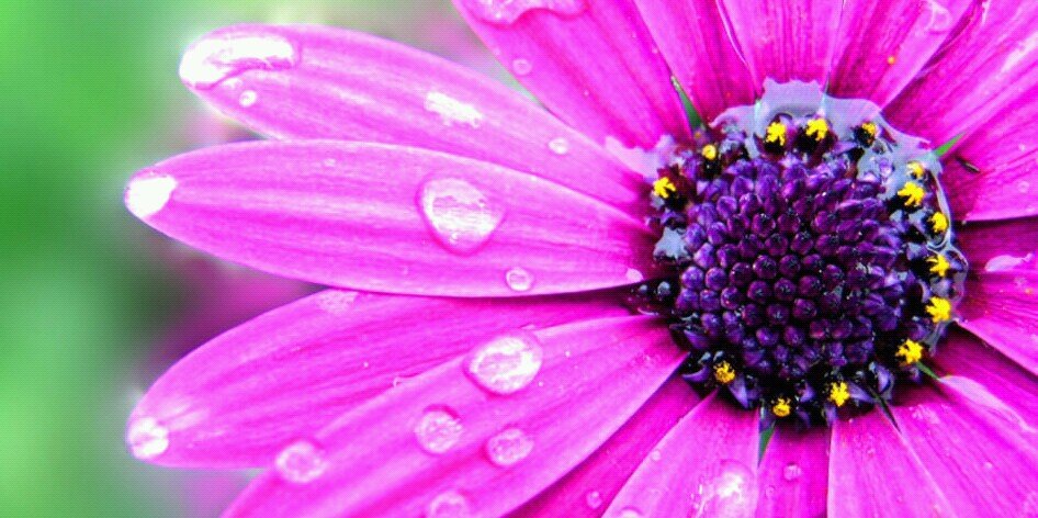 Dee_AnneOx's profile banner image
