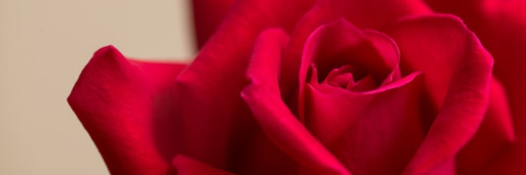 sheiscaataa's profile banner image