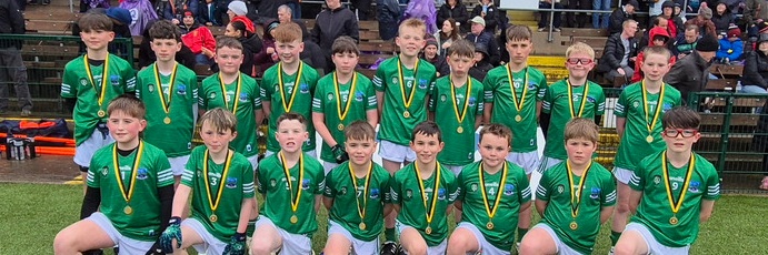 Fermanagh Cumann na mBunscol's banner