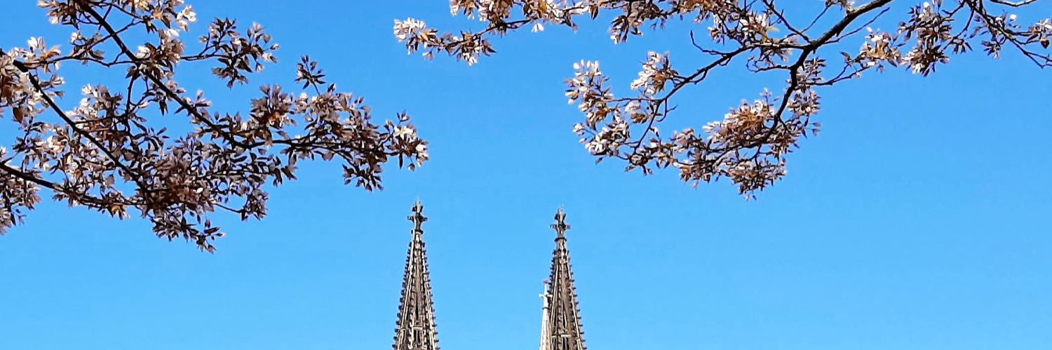 DominikMeiering's profile banner image