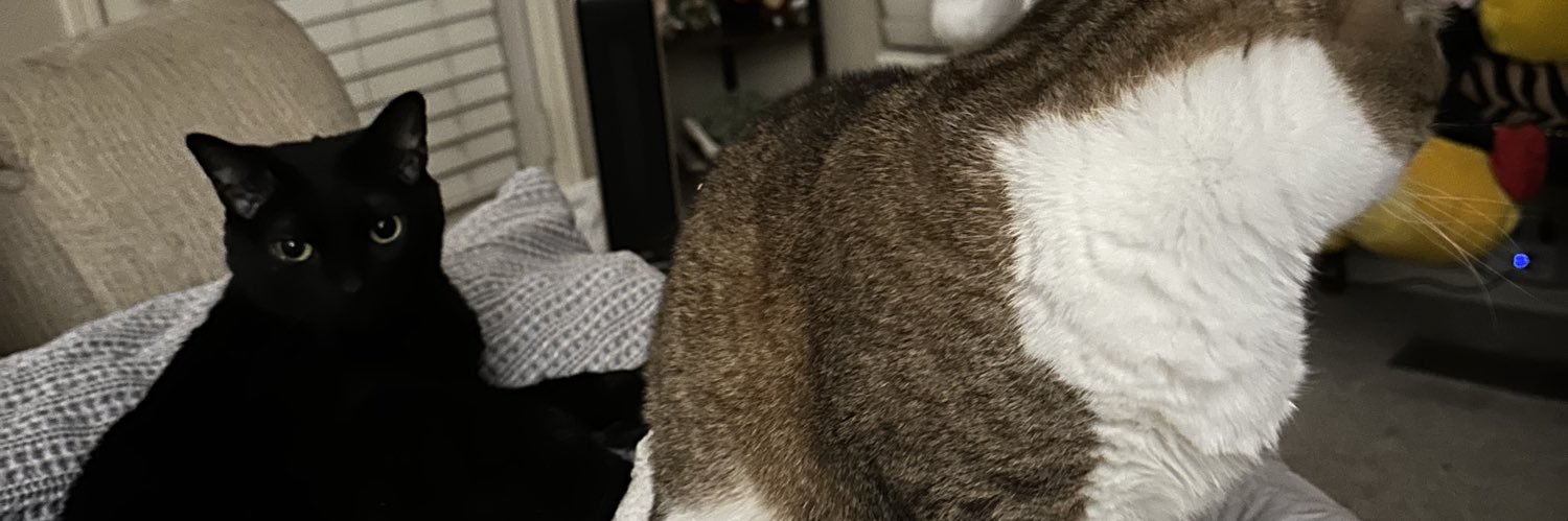 moonkitten117's profile banner image