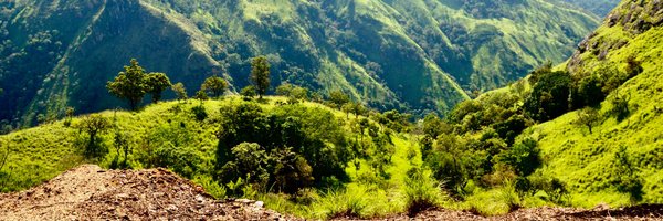 coprunner Profile Banner