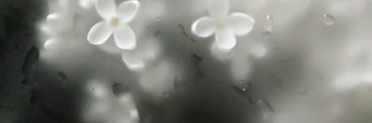 Raciecure's profile banner image