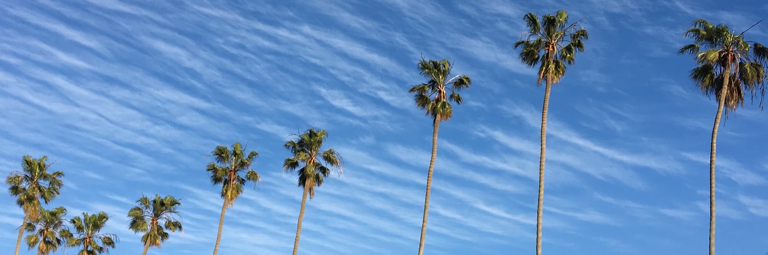 Parker Rogers banner