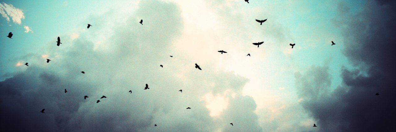 Caleb Clayton banner