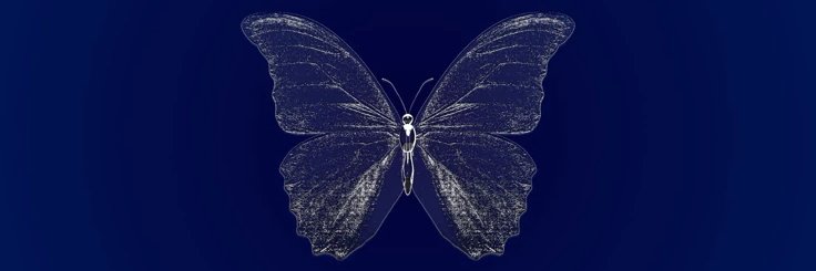 sed5y's profile banner image