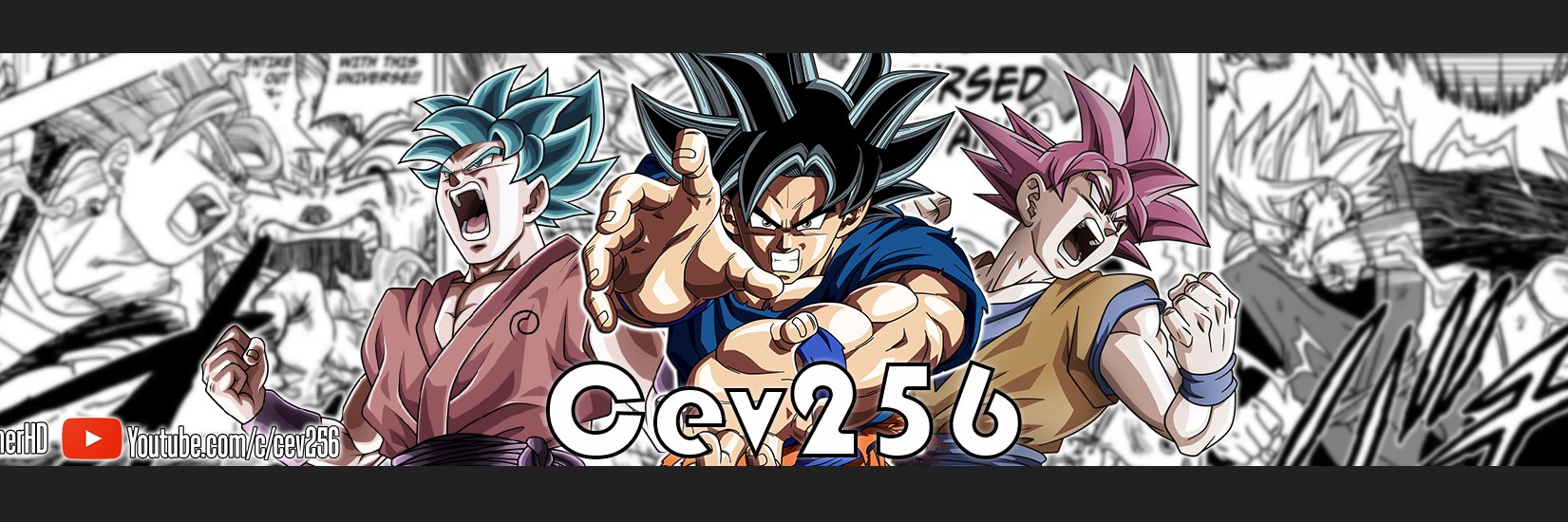 cev256's profile banner image