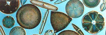 barisasutay's profile banner image
