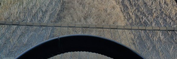 stonexelise Profile Banner