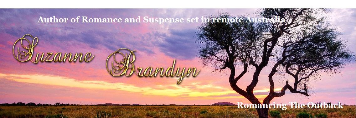 Suzanne Brandyn Author banner