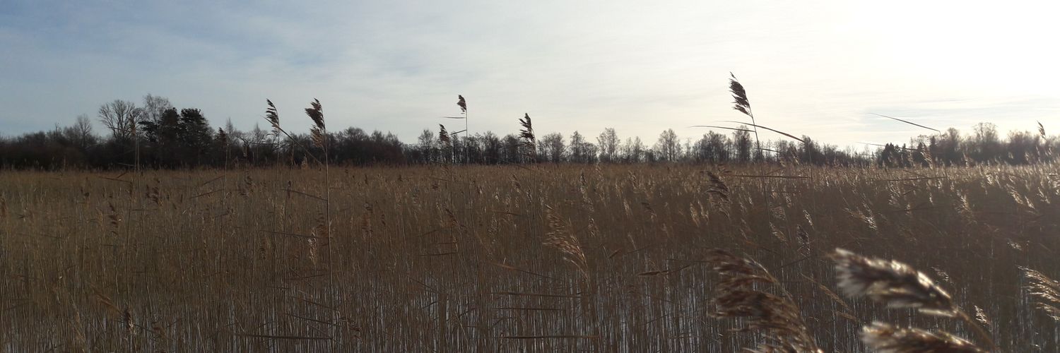 PeetRaul's profile banner image