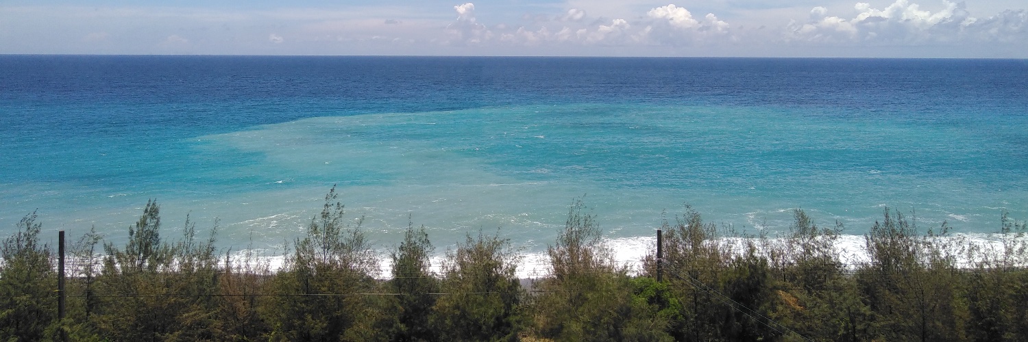 momo banner