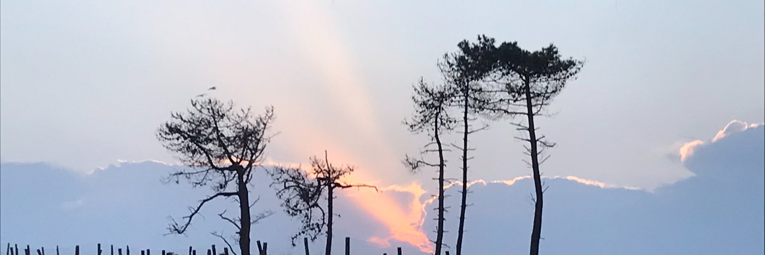 CelisRaquel's profile banner image