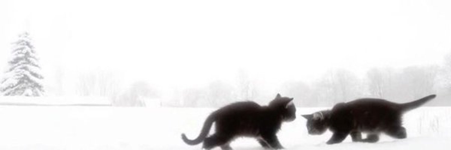 dnjsals1004's profile banner image