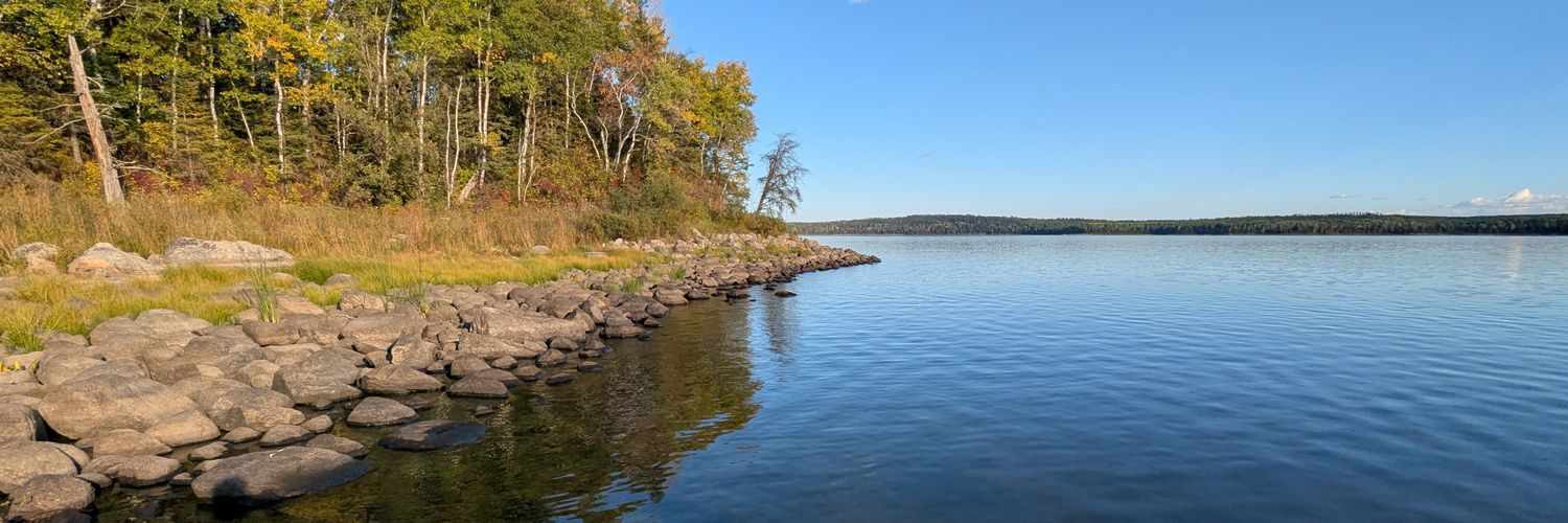 Brandon Rhéal Amyot (they/them) banner