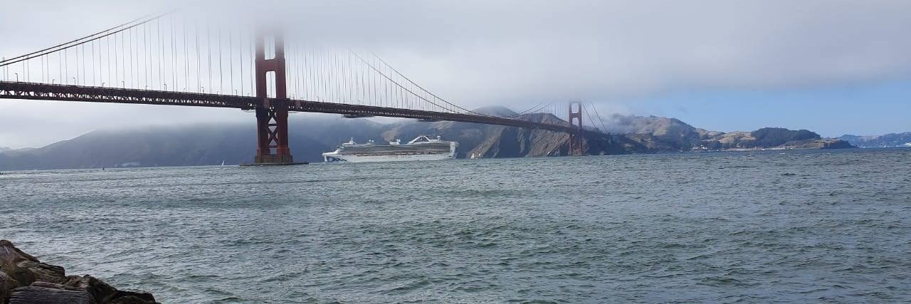 Rodrigo Andujo banner