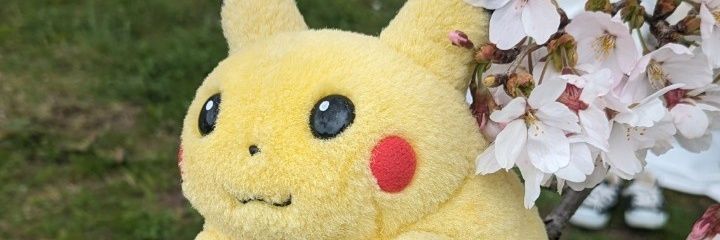 nonoka0804's profile banner image