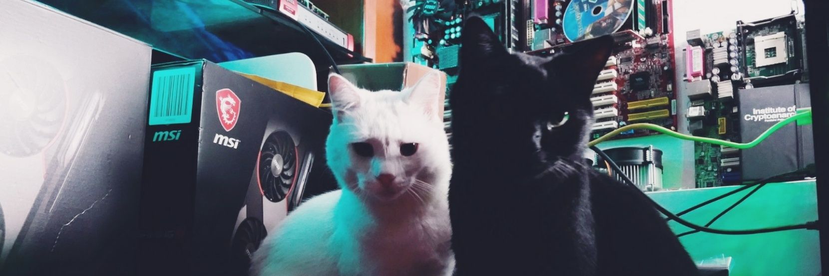 Cursed Mining banner