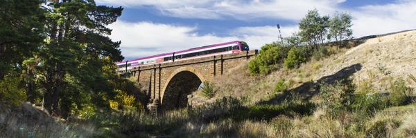 VLine Profile Banner